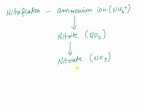 which-of-the-following-statements-about-the-nitrogen-cycle-is-false-a-nitrogen-fixing-bacteria-exist-62076