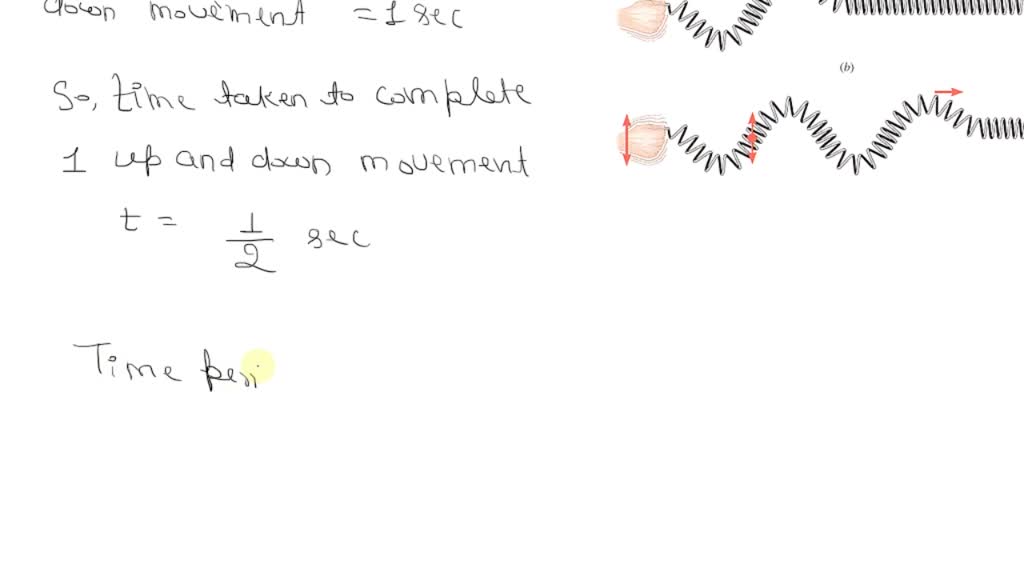 SOLVED In Figure below the hand moves the end of the Slinky up and down through two complete