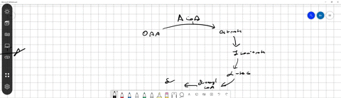 what-is-the-first-enzyme-to-produce-a-reduced-electron-carrier-in-the-citric-acid-cycle-citrate-synthase-alpha-ketoglutarate-dehydrogenase-aconitase-isocitrate-dehydrogenase-97338