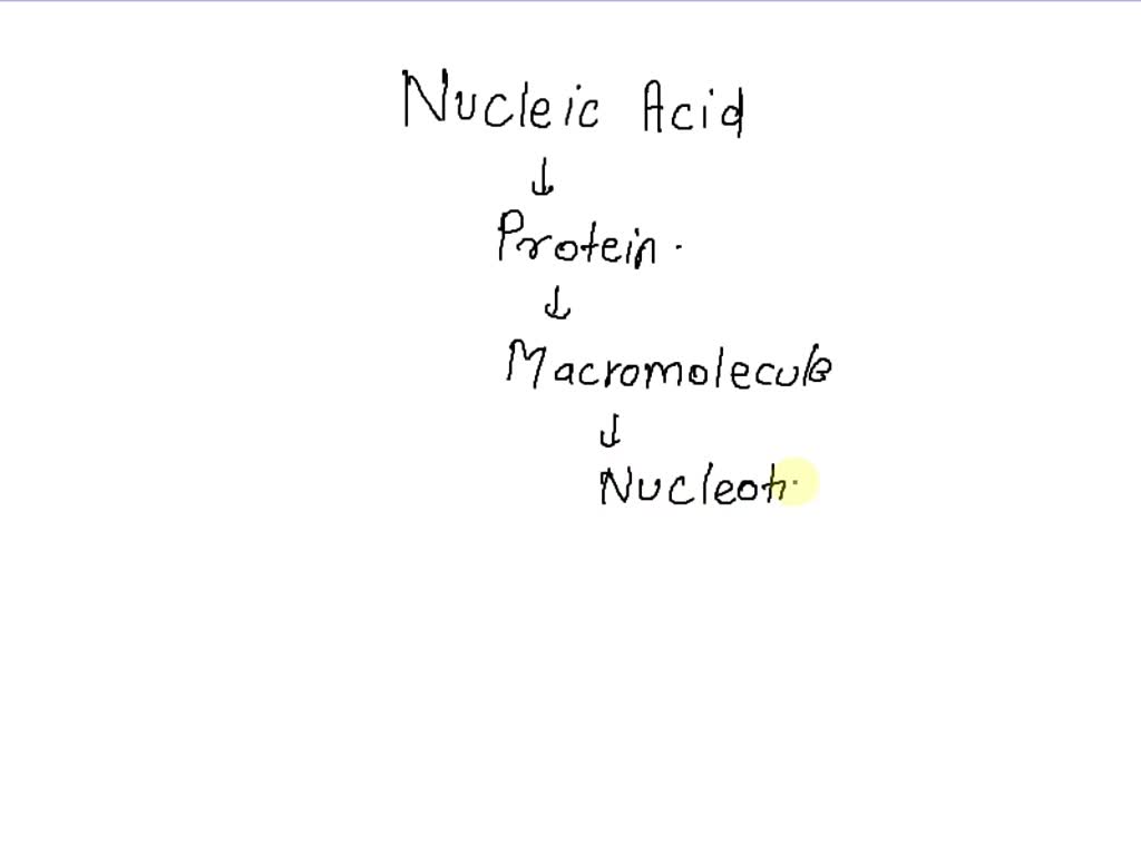 SOLVED Question 30 Nucleic acid contains manganese. b. potassium