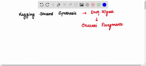question-7-133-which-of-the-following-enzymes-is-responsible-for-connecting-okazaki-fragments-forming-covalent-bond-between-fragments-rna-polymerase-dna-helicase-dna-ligase-dna-polymerase-83522