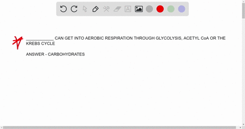 can-get-into-aerobic-respiration-through-glycolysis-through-acetyl-coa-formation-or-through-the-krebs-cycle-carbohydrates-lipids-proteins-none-of-the-above-96997