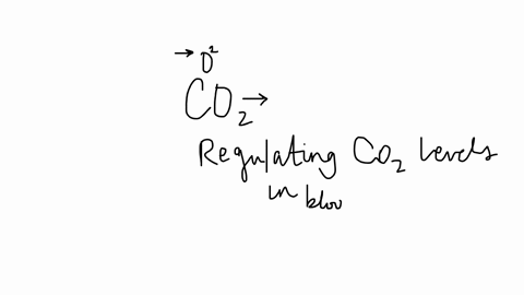 what-is-the-primary-mechanism-for-control-over-breathing-in-order-to-protect-blood-from-oxygenation-which-set-of-chemoreceptors-are-primarily-involved-62154