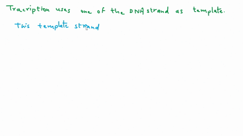 42-multiple-choice-15-points-the-resting-membrane-potential-rmp-of-a-neuron-is-30-mathrmmv-90mv-70-mathrmmv-55-mathrmmv-70-mathrmmv