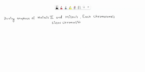 question-17-separate-from-each-other-and-move-opposite-poles-during-anaphase-melosls-and-durng-anaphase-of-mirtoss-homologous-chromosomes-sister-chromatids-nonsister-chromatids-homozygotes-13501
