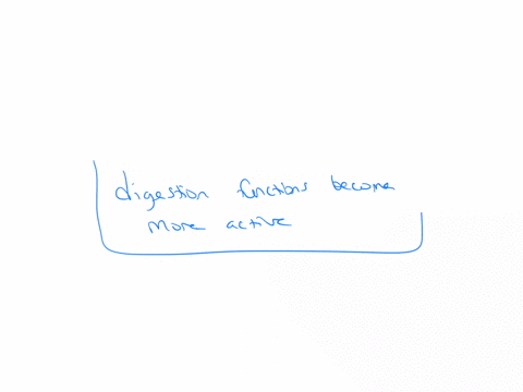 which-of-the-following-is-not-a-part-sympathetic-activation-during-the-fight-or-flight-response-adrenaline-surges-into-the-bloodstream-digestion-functions-become-more-active-heart-rate-and-b-13472