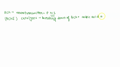 acetylcholinesterase-ache-is-protein-that-catalyzes-the-conversion-of-acetylcholine-to-acetate-and-choline-when-the-concentration-of-ache-in-an-aqueous-solution-is-held-constant-the-rate-of-02644
