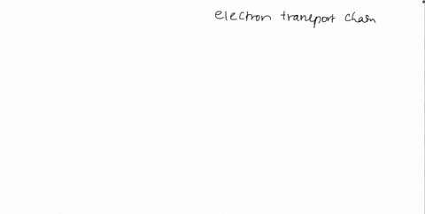 which-of-these-is-not-true-of-the-electron-transport-chain-a-the-electron-transport-chain-is-locat-2-52232