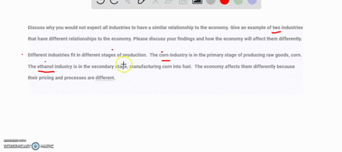discuss-why-you-would-not-expect-all-industries-to-have-a-similar-relationship-to-the-economy-give-an-example-of-two-industries-that-have-different-relationships-to-the-economy-please-discus-97186