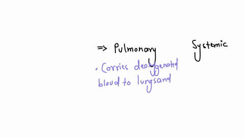 classify-statements-as-features-of-either-the-pulmonary-circulation-or-the-systemic-circulation