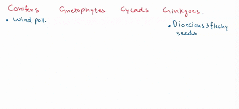 gvnneeperin-classify-the-following-characteristics-describe-the-different-types-gymnosperms-some-cholces-may-be-used-more-than-once-tonliers-greicphyers-dioecious-fleshy-sceds-wnd-pollinaled-86274