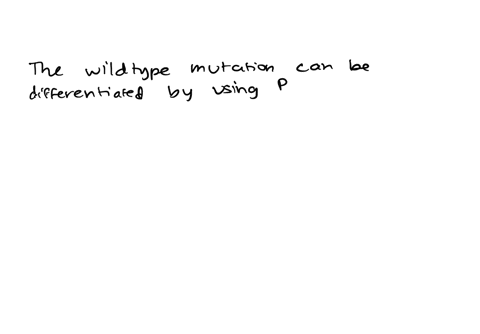 discuss-how-you-would-assess-whether-your-target-gene-has-any-mutations-in-comparison-to-the-mutated-wildtype-gene-20437