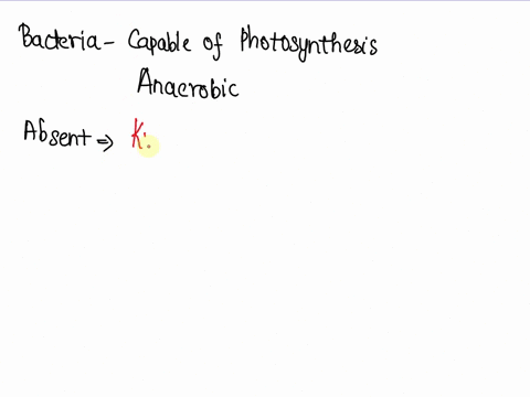scientists-recently-discovered-a-species-of-bacteria-thats-capable-of-photosynthesis-but-its-anaerobic-and-doesnt-produce-or-use-oxygen-for-respiration-which-process-will-be-absent-in-this-o-87818