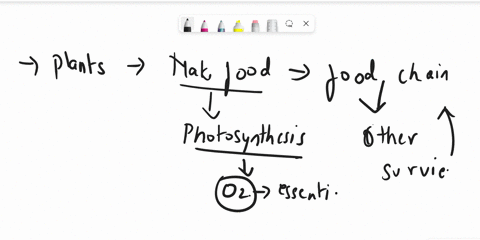 what-abiotic-factor-is-not-needed-by-producers-during-photosynthesis-a-a-a-sunlight-b-carbon-c-dioxided-water-soil-92001