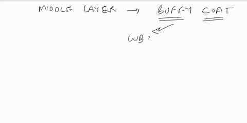 centrifuging-a-blood-sample-separates-the-blood-components-into-three-layers-in-a-centrifuge-tube-the-narrow-middle-layer-centrifuging-a-blood-sample-separates-the-blood-components-into-thre-07314