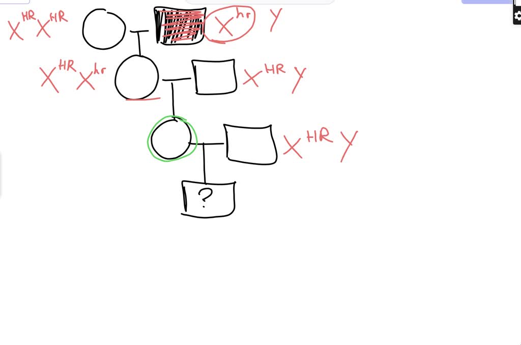 Solved Both Hemophilia And Red Green Color Blindness Are Sex Linked Recessive Traits The