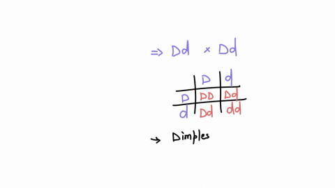 a-man-and-a-woman-who-are-both-heterozygotes-for-dimples-got-married-and-decided-to-have-7-children-what-is-the-probability-of-getting-3-children-with-dimples-and-4-without-31411