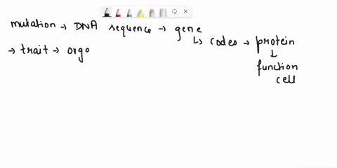 how-can-a-mutation-in-a-gene-affect-the-traits-that-an-organism-has-a-the-gene-will-be-fixed-by-rna-polymerase-molecule-b-the-gene-will-be-forced-to-enter-the-lysogenic-cycle-c-the-gene-will-41266