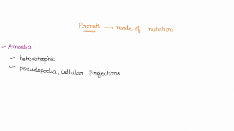 question-use-what-you-learned-in-the-lecture-on-bacteria-and-archaea-metabolism-to-classify-the-following-protists-based-on-the-mode-of-nutrition-they-use-amoeba-are-single-celled-protists-t-86095