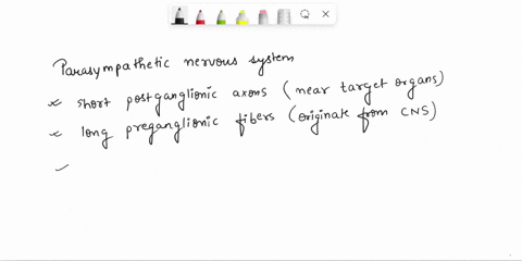 the-parasympathetic-ncrvous-system-characierized-by-loo-sotlnd-47-the-absence-of-postganglionic-axons-8-long-postganglionic-axons-cocol-the-abscnce-of-preganglionic-fibers-shor-postganglioni-18537