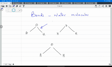 what-name-is-given-to-the-bond-between-a-hydrogen-atom-and-and-an-oxygen-atom-within-a-single-water-molecule-46444