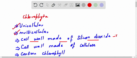 search-textbook-solutions-chegg-please-select-the-lomework-saved-please-select-the-properties-that-can-be-associated-with-the-chlorophyta-green-algae-check-all-that-apply-unicellular-muitice-17665