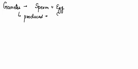 the-cell-division-common-in-gametes-mitosis-amitosis-meiosis-both-mitosis-and-meiosis-choose-the-correct-answer-47335
