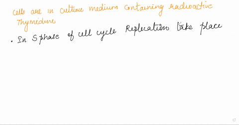 if-cells-are-grown-in-a-culture-medium-containing-radioactive-thymidine-the-thymidine-will-be-cova-2-22033