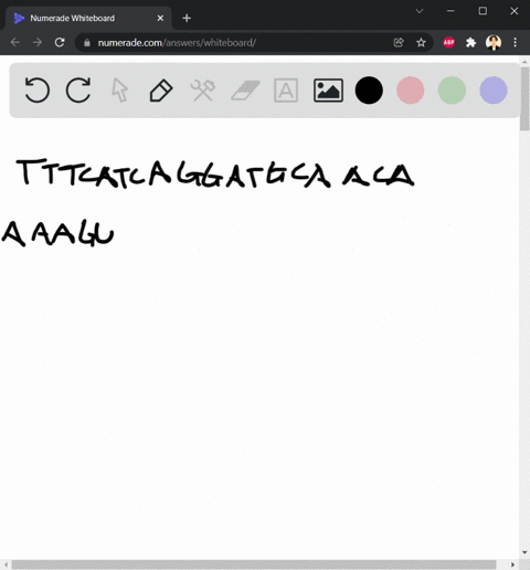 a-protein-encoding-region-of-a-gene-has-the-following-dna-sequence-tttcatcaggatgcaaca-what-would-be-the-sequence-in-the-mrna-transcribed-from-this-dna-sequence-what-would-be-the-amino-acid-s-32878