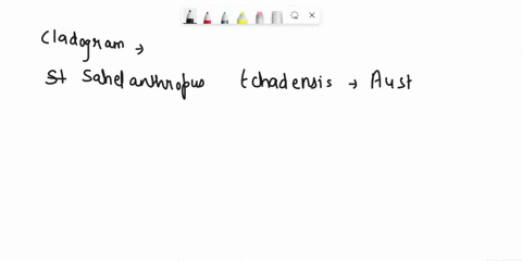question-5-8-pts-match-the-following-species-with-the-most-appropriate-numbers-on-this-cladogram-where_there-is-an-equivalent-choice_put-_the-more-recent-of_two-species-on-the-right-you-may-56242