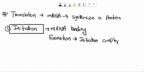 what-are-the-three-steps-in-translation-be-able-to-describe-the-process-occurring-at-each-step-23055