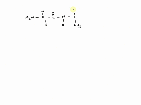 in-the-space-below-draw-the-structure-of-a-short-peptide-with-the-following-sequence-glycine-alanine-glycine-on-your-drawing-below-label-all-of-the-peptide-bonds-label-the-n-terminus-label-t-94812