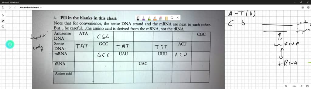 solved-which-headings-best-complete-the-chart-y-dna-z-trna-y-trna