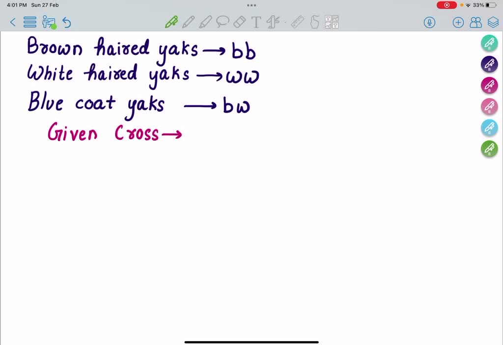 SOLVED In Tibetan yaks, the heterozygous condition of the alleles for