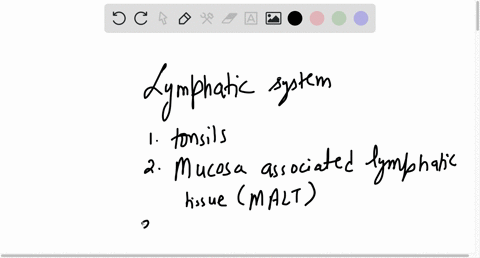 lymphatic-system-assignment-1-the-________-are-the-simplest-lymphoid-organs-and-are-found-at-the-entrance-to-the-pharynx-2-the-appendix-tonsils-and-peyers-patches-are-examples-of-________-3-05476