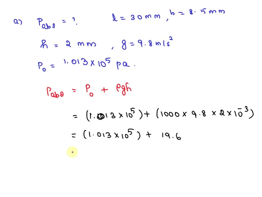 SOLVED a) Determine the absolute pressure on the bottom of a swimming