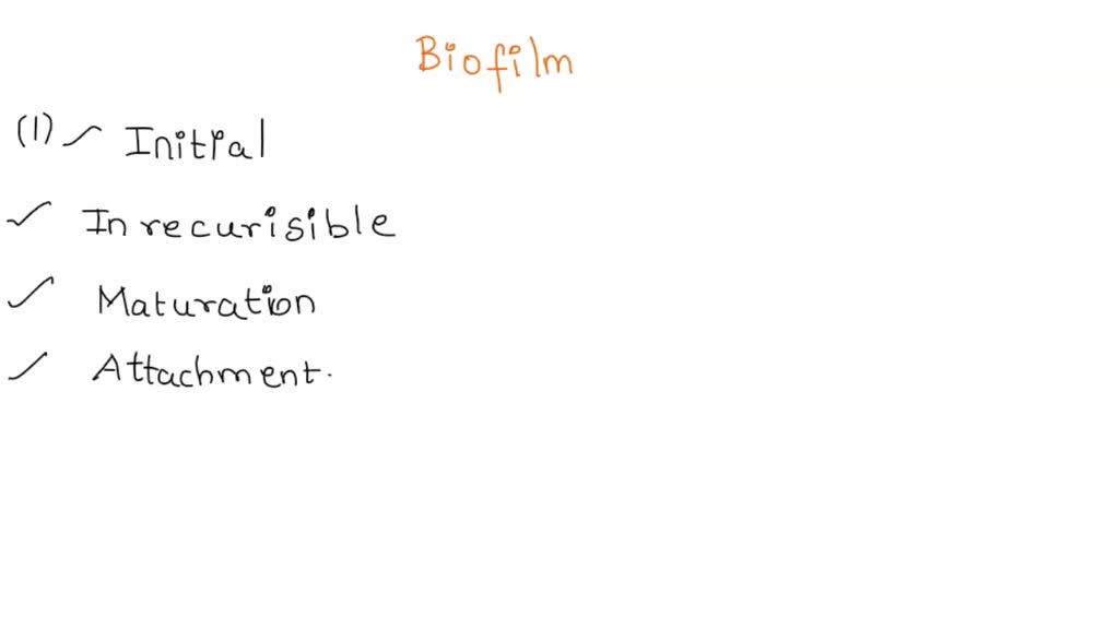 Solved 1 Briefly Describe The Four Steps Involved In Biofilm Formation Note The Fifth Step