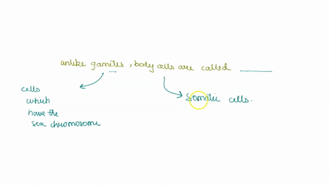unlike-gametes-body-cells-are-called-a-somatic-cells-b-sematic-cells-c-sexual-cells-39206