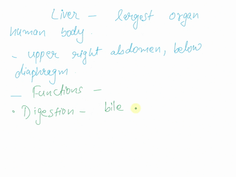 discuss-why-liver-is-important-and-function-it-serves-as-detailed-as-it-can-be-74161