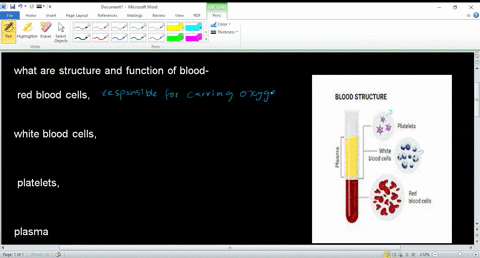 what-are-structure-and-function-of-blood-red-blood-cells-white-blood-cells-platelets-plasma-65212