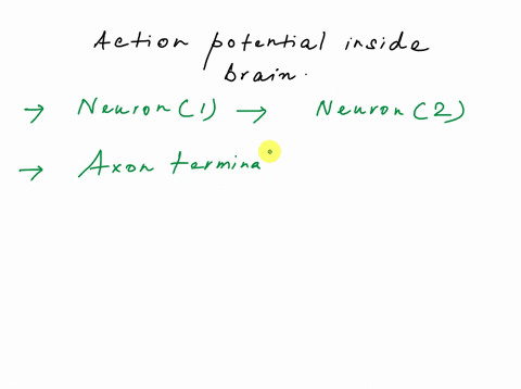 describe-how-an-action-potential-propagates-along-a-myelinated-and-an-unmyelinated-axon-including-how-the-potential-is-spread-along-the-membrane-what-two-benefits-do-myelinated-axons-have-ov-02414