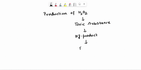 hydrogen-peroxide-is-a-toxic-by-product-of-cellular-metabolism-in-aerobic-organisms-describe-the-mechanism-by-which-the-cellular-system-deals-with-this-problem-in-particular-the-method-of-pr-61286