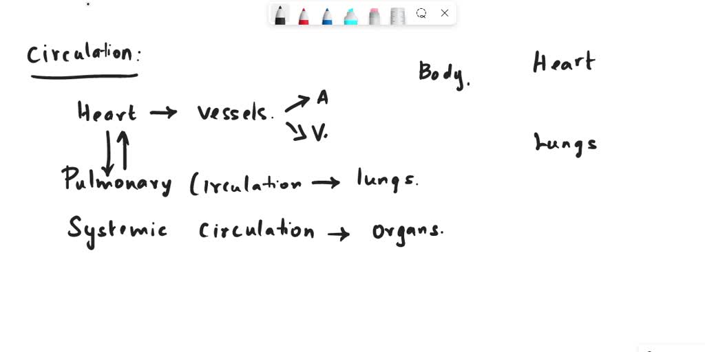 SOLVED: What is a difference between systemic and pulmonary circulation ...