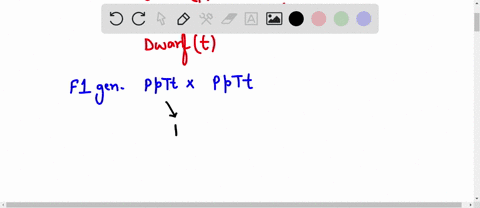 -using-punnett-squares-show-mendels-f1-crosses-that-led-to-the-outcomes-on-which-he-based-his-findings-be-sure-to-include-any-genotype-and-phenotype-ratios-that-were-reported-from-the-experi-79785