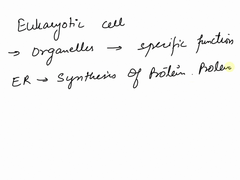 how-do-organelles-function-together-in-cellular-processes-16394