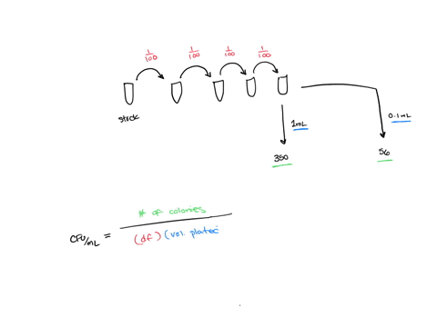 you-decide-to-dilute-broth-culture-by-making-series-of-four-1100-dilutions-ml-of-the-final-dilution-onto-one-agar-plate-and-01-you-then-pipet-ml-onto-second-plate-after-incubating-overnight-04843