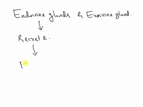 the-major-distinction-between-endocrine-glands-and-exocrine-glands-is-that-endocrine-glands-secrete-their-product-into-a-the-blood-b-a-duct-c-the-stomach-d-the-bladder-21825