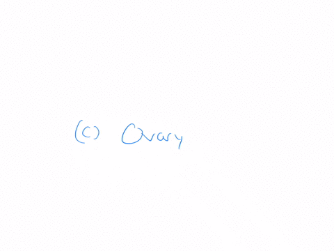 which-organ-is-the-primary-sex-organ-a-vagina-b-uterus-c-ovary-d-follicle