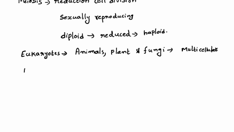 which-of-the-following-statements-is-true-of-meiosis-a-it-divides-one-haploid-cell-into-four-diploid-cells-b-it-divides-one-haploid-cell-into-two-diploid-cells-c-it-divides-one-diploid-cell-70572