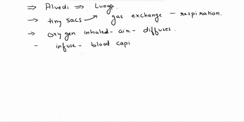 choote-cne-in-the-zlveoli-select-an-answer-and-submit-for-keyboard-navieatlon-wsc-the-dow-auo-selectan-oxygen-diffuses-into-the-blood-while-carbon-dioxide-diffuses-out-of-the-blood-oxygen-di-89924
